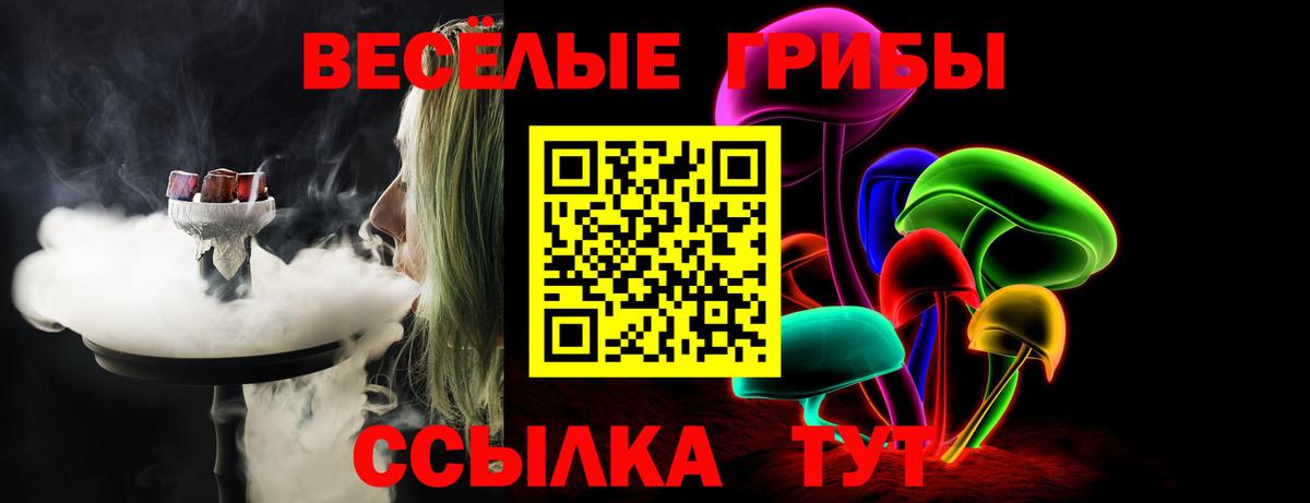 Псилоцибиновые грибы GOLDEN TEACHER  Вход с VPN  где найти наркотики  Сочи 